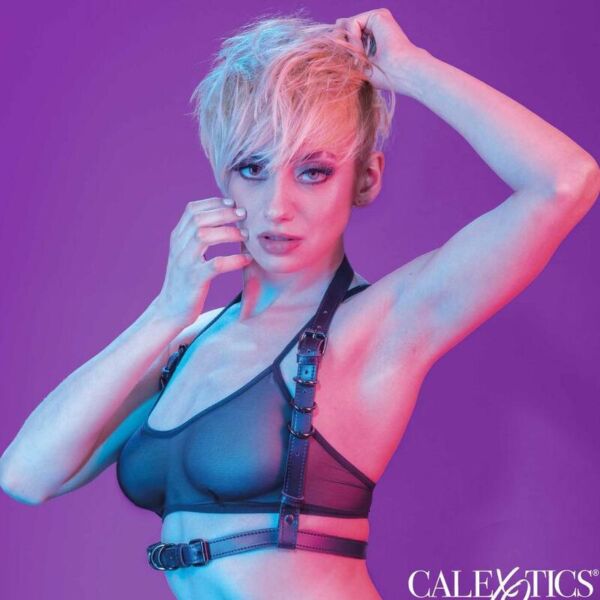 Harness CalExotics Euphoria Halter med spänne