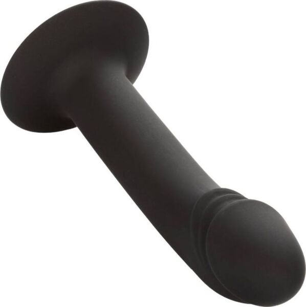 Analdildo CalExotics Curved Anal Stud med böjd spets och sugkoppsbas