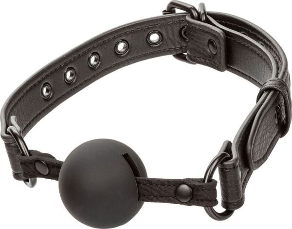 Ballgag CalExotics Nocturnal Collection Ball Gag i svart, med silikonkula och rem med spänne