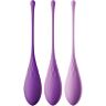 Kegel Träningsset FANTASY FOR HER