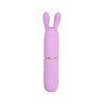Rabbit Vibrator NAUTI Petites 10 Speed