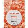 Carnelian Apricot Massageolja från Exsens 3ml
