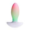 Vibrator Paradise Pleasure Products The Plug med RGB-belysning