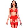 Lingeri Set CHILIROSE CR 4895 med 5 delar