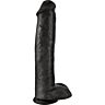 Dildo KING COCK 38 cm med testiklar