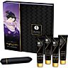 Naughty Geisha Kit Shunga | Originalt och sensuellt kit för par