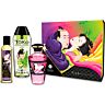 Shunga Kits Fruity Kisses Parset