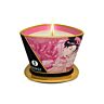 Shunga Mini Caress Massage Ljus 170 ml