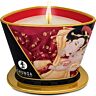 SHUNGA Mini Caress Massage Ljus 170 ml