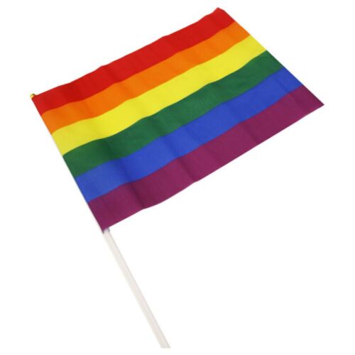 Stor PRIDE-vimpel med LGBT-regnbågsflagga