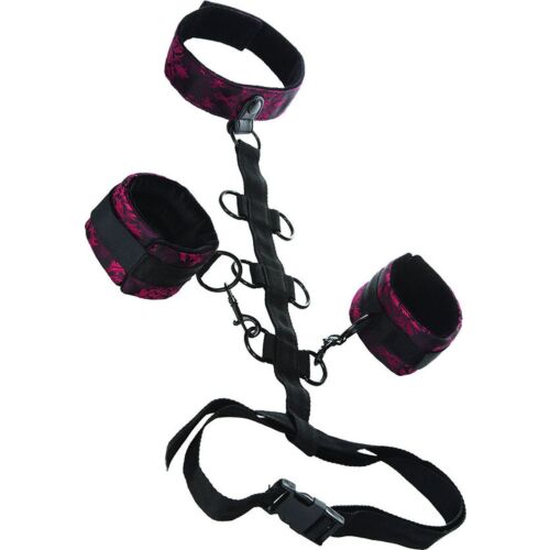 CalExotics Scandal Restraint Collar med Avtagbara Manschetter