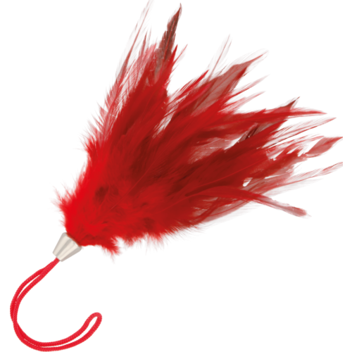 Bondage Tillbehör Darkness Röd Stimulerande Penna för Sensuellt Spel