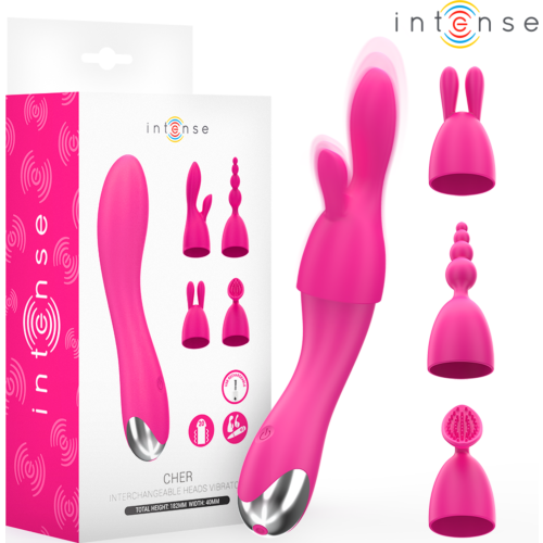 INTENSE Cher Vibrator med 4 Utbytbara Huvuden