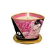 Shunga Mini Caress Massage Ljus 170 ml