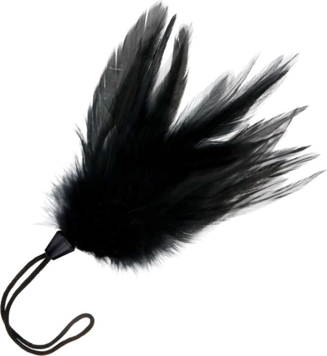Pluma Estimuladora Darkness 17 cm para juegos eróticos Pluma Estimuladora Darkness 17 cm para juegos eróticos