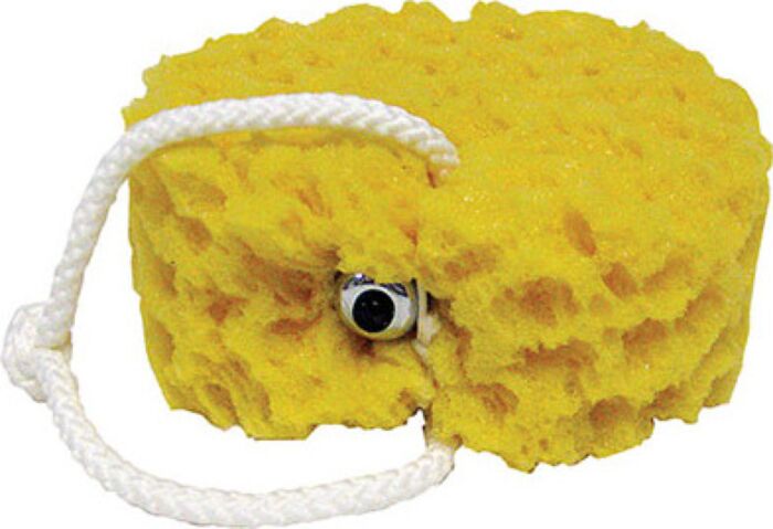 VIBRATING FOAM SEA SPONGE VIBRATING FOAM SEA SPONGE